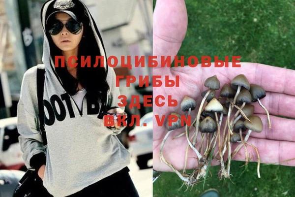 таблы Алексеевка